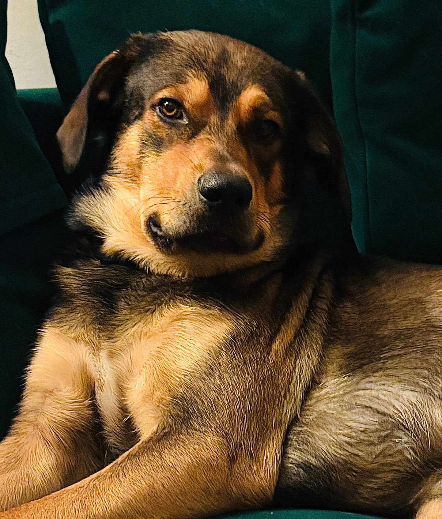 Benny