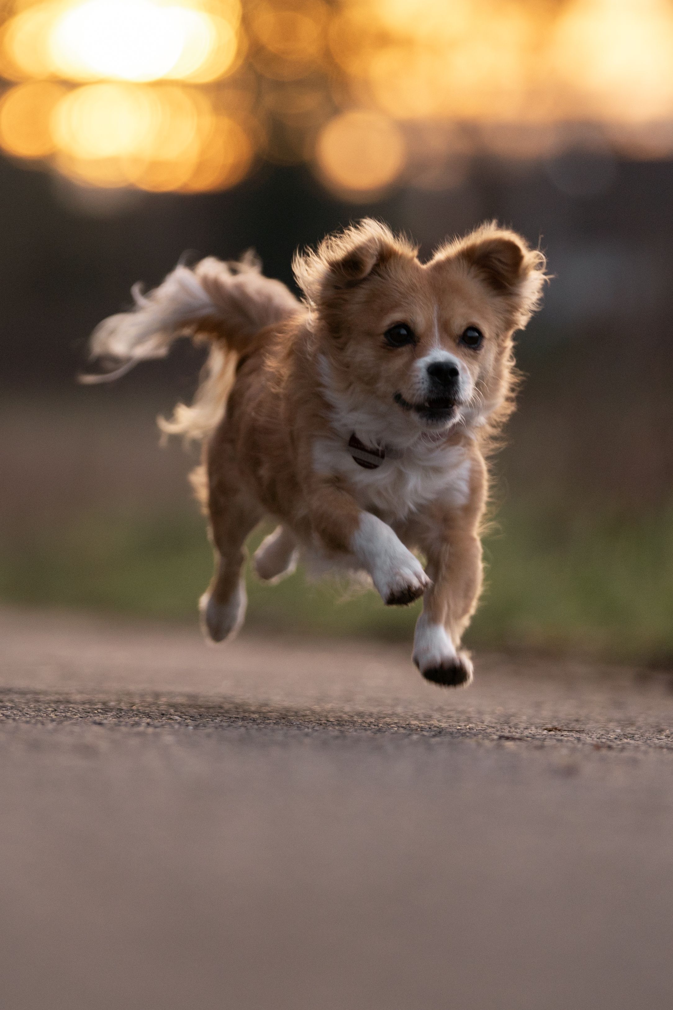 Kiki